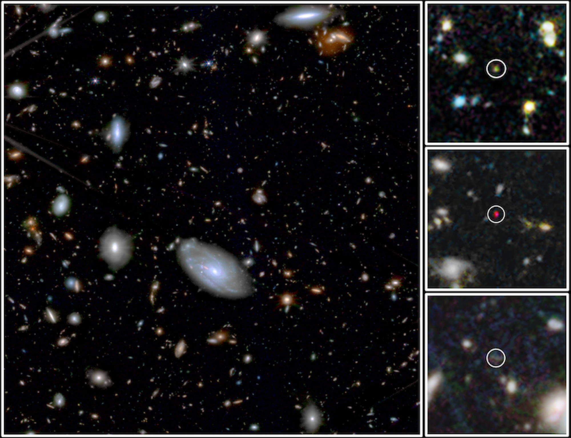 Ancient galaxies imaged by the James Webb Space Telescope's MIRI Deep Imaging Survey.