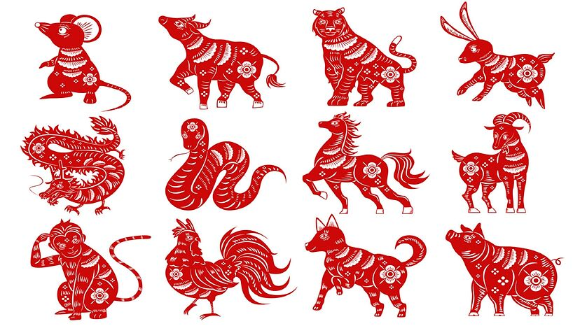 Which Chinese Zodiac is the Smartest?
